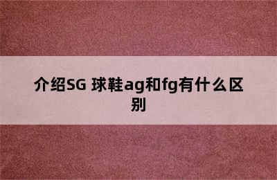 介绍SG 球鞋ag和fg有什么区别